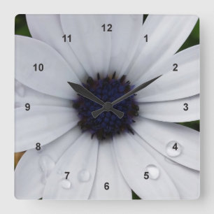 Horloge Carrée River on white