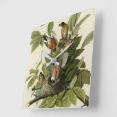 Horloge Carrée Robin américain d'Audubon's Birds of America (Angle)