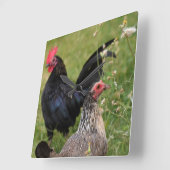 Horloge Carrée Rooster and Hen (Angle)