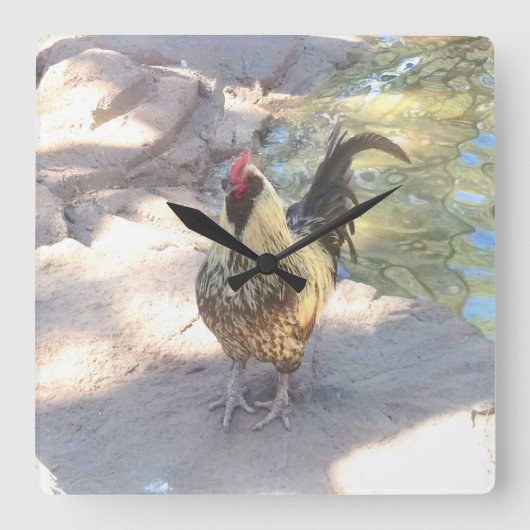 Horloge Carrée Rooster clock (Recto)