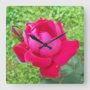 Horloge Carrée Rose dans Bloom