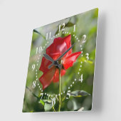 Horloge Carrée Rose rouge (Angle)