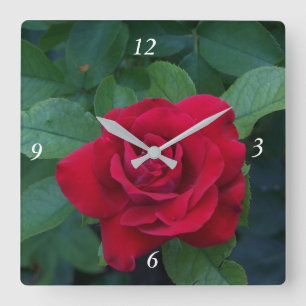 Horloge Carrée Rose rouge de près