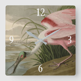 Horloge Carrée Roseate Spoonbill from Audubon's Birds of America
