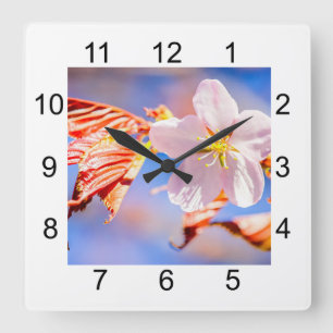 Horloge Carrée Rouge Sakura bleu ciel