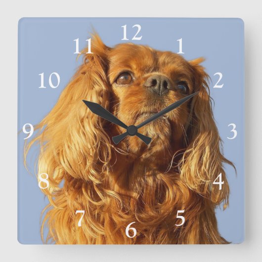 Horloge Carrée Ruby Cavalier King Charles Spaniel (Recto)