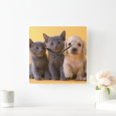 Horloge Carrée Russian Blue Kittens et Dachshund (Maison)