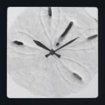 Horloge Carrée Sables dollars Beach Coastal Black White Trendy<br><div class="desc">Designed with image of sand dollar in the background,  this is perfect for beach house decor christmas,  holiday toxits !</div>