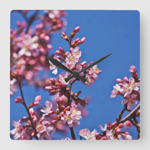Horloge Carrée Sakura Cerisiers Touchant le Bleu