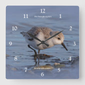 Horloge Carrée Sanderling Shorebird Flâner sur une plage d'hiver (Recto)