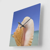 Horloge Carrée Sea shell Close (Angle)