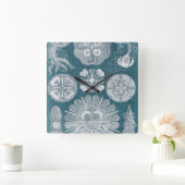 Horloge Carrée Sealife Blueprint IV (Maison)