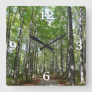 Horloge Carrée Sentier boisé du centenaire II Ellicott City Maryl