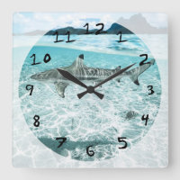 Shark in the Waters