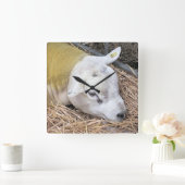 HORLOGE CARRÉE SHEEP (Maison)