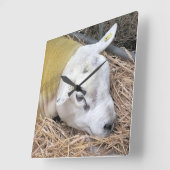 HORLOGE CARRÉE SHEEP (Angle)