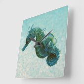 Horloge Carrée Short-Snouted Seahorse | Crimea, Russie (Angle)