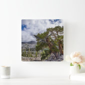 Horloge Carrée Sierra Juniper et arbres À feuillage persistant (Maison)