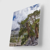 Horloge Carrée Sierra Juniper et arbres À feuillage persistant (Angle)