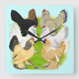 Horloge Carrée Six Poules d'Uccle