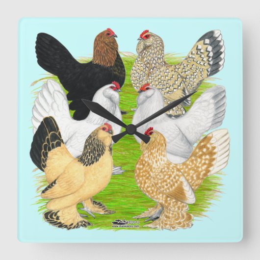 Horloge Carrée Six Poules d'Uccle (Recto)