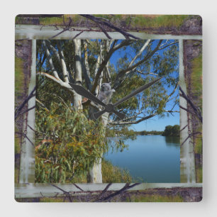 Horloge Carrée Sleeping Koala In Tree Over