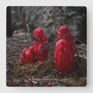 Horloge Carrée Snow Blossoms