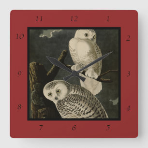 Horloge Carrée Snowy Owl, John James Audubon's Birds of America