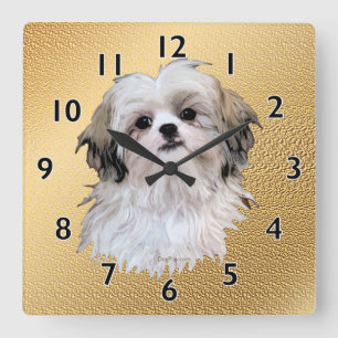 Horloge Carrée Sortie Shih Tzu