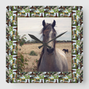 Horloge Carrée Speckled Arab Horse In Horses Photo Frame