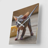 Horloge Carrée Sphynx Kitten et fromage (Angle)