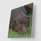 Horloge Carrée Square Clock (Angle)