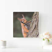 Horloge Carrée Squerrl clock (Maison)