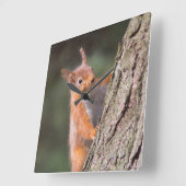 Horloge Carrée Squerrl clock (Angle)