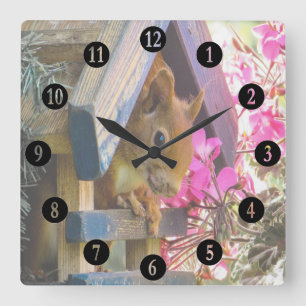 Horloge Carrée Squirl in A Birdhouse