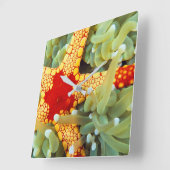 Horloge Carrée Star de la mer rouge et jaune (Angle)