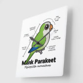 Horloge Carrée Statistiques sur les paréoles de moine (Angle)