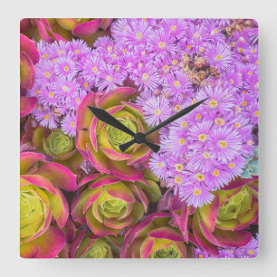 Horloge Carrée Succulents