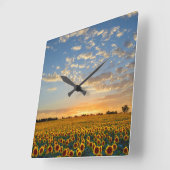 Horloge Carrée Sunflower Field (Angle)