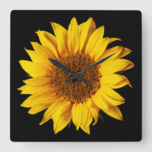 Horloge Carrée Sunflower Yellow on Black (Recto)
