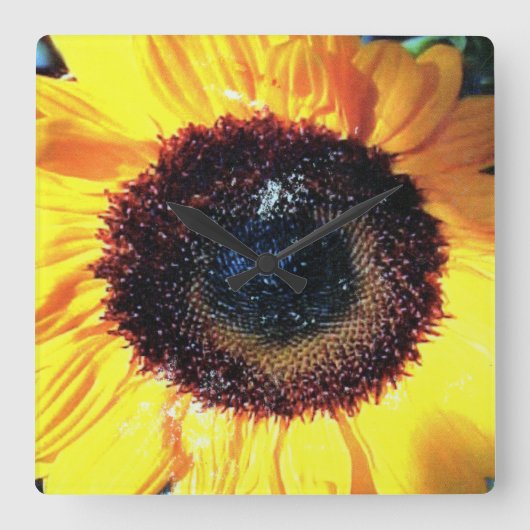 HORLOGE CARRÉE SUNTIME (Recto)