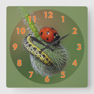 Horloge Carrée Super mignonne Lady Bug & Caterpillar