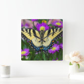 Horloge Carrée Swallowtail Butterfly on daisy (Maison)