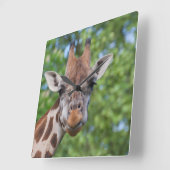 Horloge Carrée Sweet Curios Giraffe (Angle)