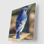 Horloge Carrée Sweet Eastern (Angle)