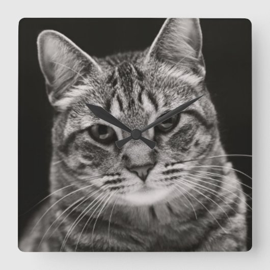 Horloge Carrée Tabby noir Kitten (Recto)