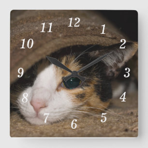 Horloge Carrée Taco de calicot