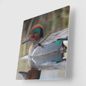 Horloge Carrée Teal viridipenne (Angle)