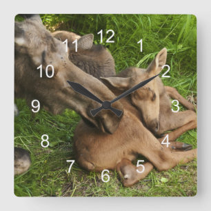 Horloge Carrée Tendre Mère Moose