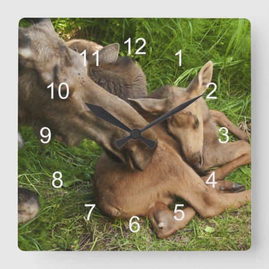 Horloge Carrée Tendre Mère Moose (Recto)